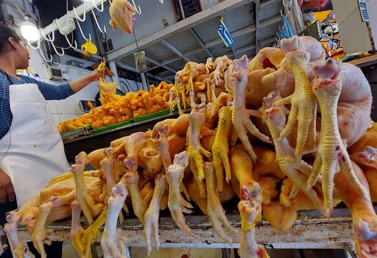 4 factores que hacen variar el precio del pollo para el consumidor final, según los avicultores