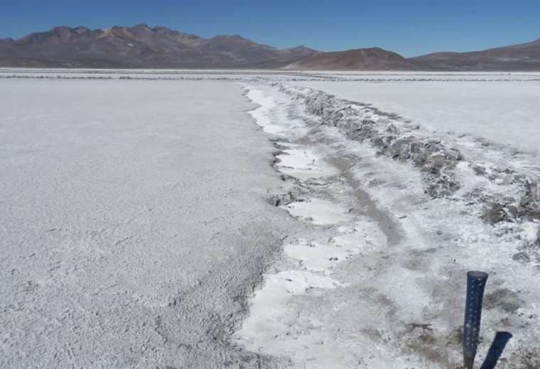 Bolivia busca la industrialización del lito 